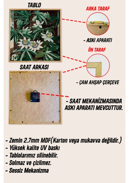Ahşap Çerçeveli Mdf Tablo Seti – Kedi Saat & Botanik Görsel (3’lü Kombin) 23 x 23