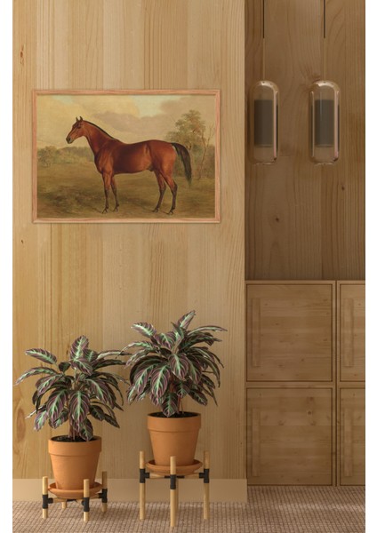 Ahşap Çerçeveli Mdf Tek Tablo Yağlı Boya Serisi (Kendi Tablo Setinizi Oluşturacağınız Liste) 23 x 32 Çerçeveli 1193 fiyatları