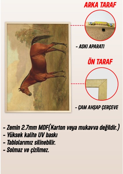 Ahşap Çerçeveli Mdf Tek Tablo Yağlı Boya Serisi (Kendi Tablo Setinizi Oluşturacağınız Liste) 23 x 32 Çerçeveli 1193 modelleri