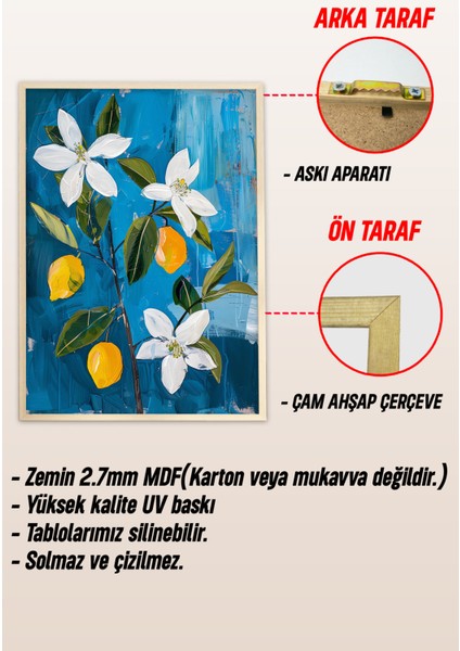 Ahşap Çerçeveli Mdf Tablo Seti Matisse, Bohem, Kusama Salon ve Oturma Odası Için ÇT3072 23 x 32