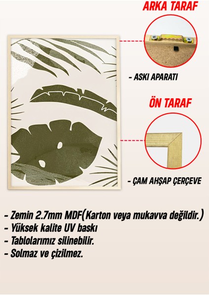 🖼️tropikal Bitkiler ve Vazo Desenli Modern 3'lü Tablo Seti – Ahşap Çerçeveli🌿 CRV1133 23 x 32