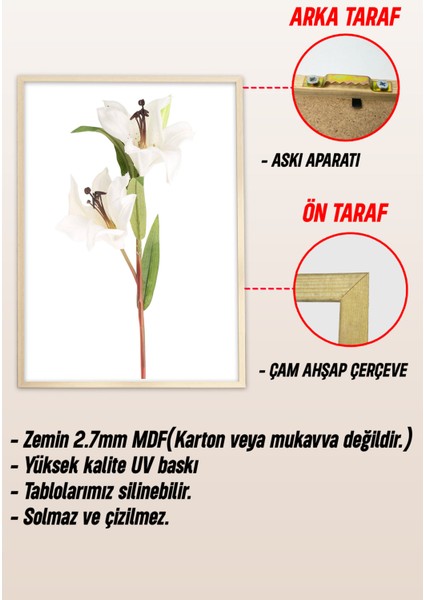 Ahşap Çerçeveli Mdf Tek Tablo Islami Tablo (Kendi Tablo Setinizi Oluşturacağınız Liste) 23 x 32 Çerçeveli 1037 modelleri