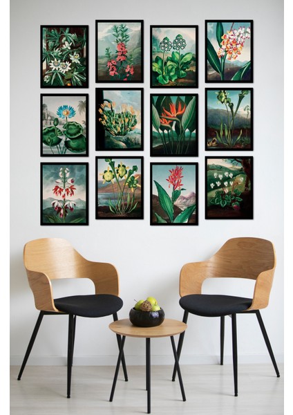 Dekorize Mdf Tablo Seti 12 Parça - Salon Oturma Odası Için Duvar Dekoru Çerçeve Görünümlü Onk 1034 13 x 17