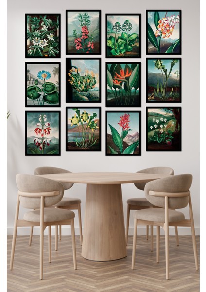 Dekorize Mdf Tablo Seti 12 Parça - Salon Oturma Odası Için Duvar Dekoru Çerçeve Görünümlü Onk 1034 13 x 17 modelleri