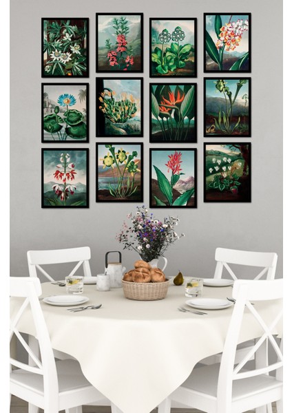 Dekorize Mdf Tablo Seti 12 Parça - Salon Oturma Odası Için Duvar Dekoru Çerçeve Görünümlü Onk 1034 13 x 17 fırsatları