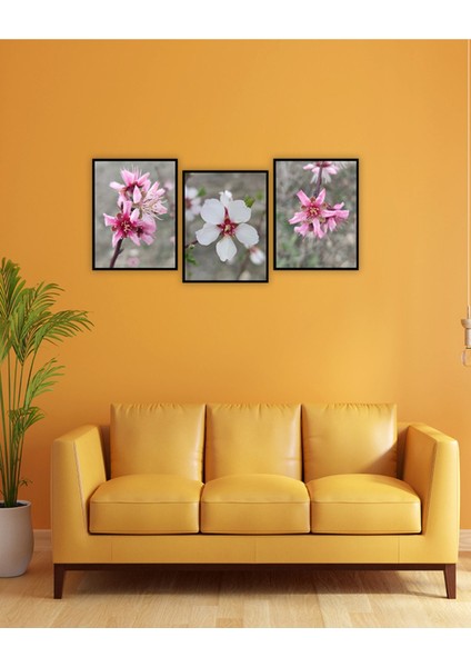 Dekorize Mdf Tablo Seti 3 Parça 3 mm - Badem Çiçeği Salon Oturma Odası Için Duvar Dekoru 13 x 17