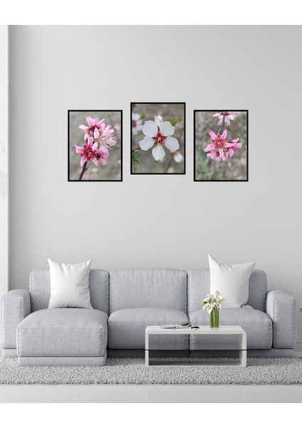Dekorize Mdf Tablo Seti 3 Parça 3 mm - Badem Çiçeği Salon Oturma Odası Için Duvar Dekoru 13 x 17 modelleri