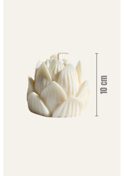 Home Flora 3'lü Lotus Çiçeği Figürlü Parafin Dekoratif Mum modelleri