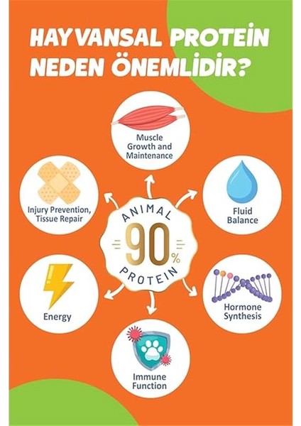 Kısırlaştırılmış Somon'lu Süper Premium Kedi Maması 1,5 kg - Hipoalerjenik - Düşük Tahıllı fiyatları