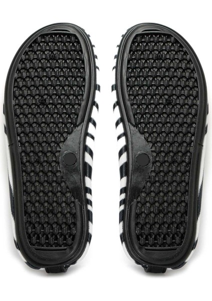 Bright Zebra Kadın Deniz & Havuz Ayakkabısı Brıght-Zebra Siyah