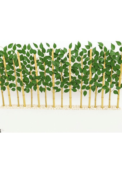 100 cm Yapay Benjamin Yaprağı ve Doğal Bambu Çubuk 10 Adet