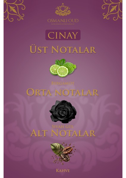 Warriors Çınay EDP 65 ML Kadın Parfümü – Çiçeksi Odunsu Misk – 4404