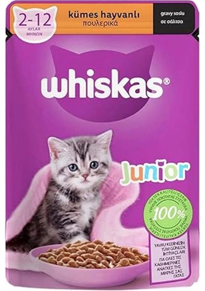 Kümes Hayvanlı Yavru Kedi Yaş Mama 85 G Tekli Paket