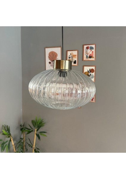 Elegant Şeffaf Cam Tekli Avize Plafonyer Rozans Başlık Sarkıt Lamba Restoran Salon Aydınlatma