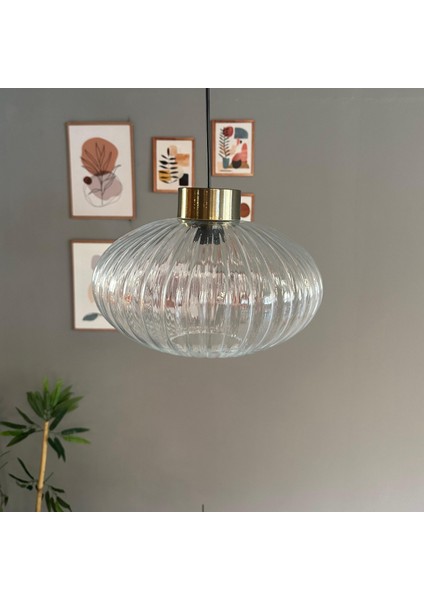 Elegant Şeffaf Cam Tekli Avize Plafonyer Rozans Başlık Sarkıt Lamba Restoran Salon Aydınlatma indirimleri