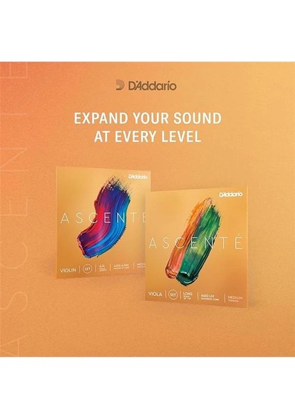 D'addario A310 1/2m Keman Tel Seti, Ascente, Scale 1/2, Medium Tension fiyatları