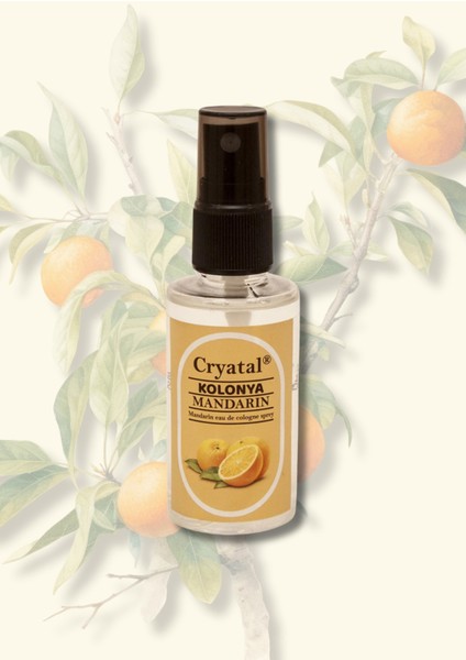 Mandarin 50 ml Kolonya fiyatları