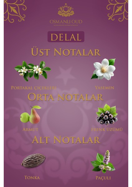 Warriors Delal EDP 65 ML Kadın Parfümü – Çiçeksi Meyveli – 4406