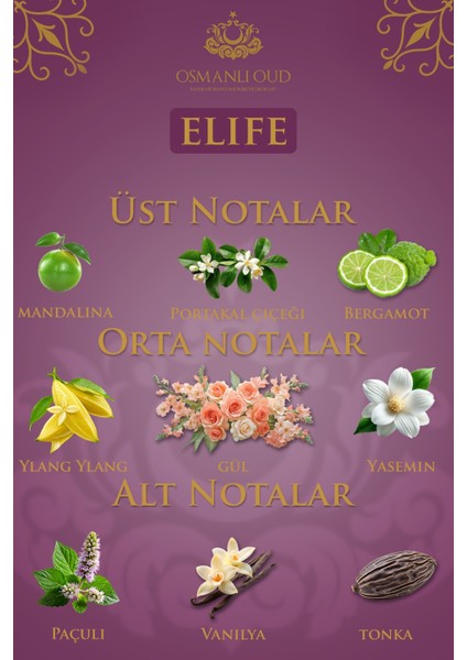 Warriors Elif EDP 65 ML Kadın Parfümü – Amber Çiçeksi – 4413