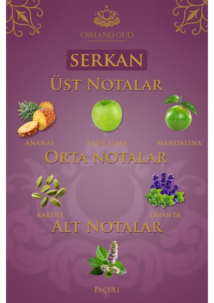 Warriors Serkan 65 ml Edp – Ferah Meyvemsi Erkek Parfümü – 4131