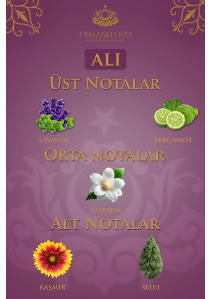 Warriors Ceyda EDP 65 ML Kadın Parfümü – Çiçeksi Odunsu Misk – 4400