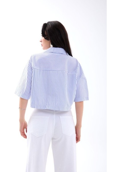 4873 Gömlek-Washıngton Çizgili fiyatları