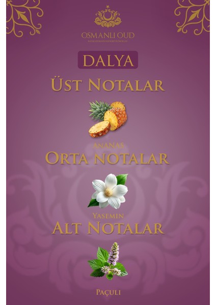 Warriors Dalya EDP 65 ML Unisex Parfümü – Amber Odunsu – 4405