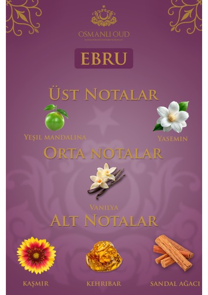 Warriors Ebru EDP 65 ML Kadın Parfümü – Amber Çiçeksi – 4411