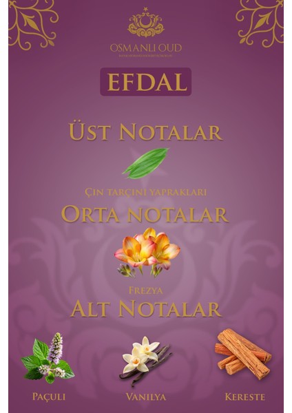 Warriors Efdal EDP 65 ML Kadın Parfümü – Meyveli – 4412