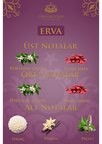 Warriors Erva EDP 65 ML Kadın Parfümü – Amber Vanilya – 4426