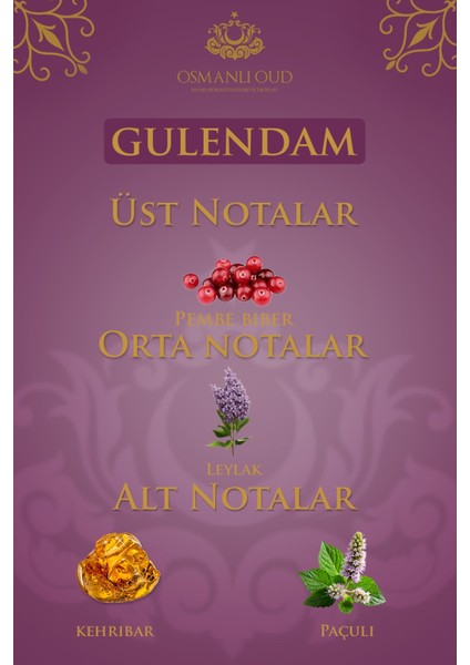 Warriors Gülendam EDP 65 ML Kadın Parfümü – Amber Çiçeksi – 4419