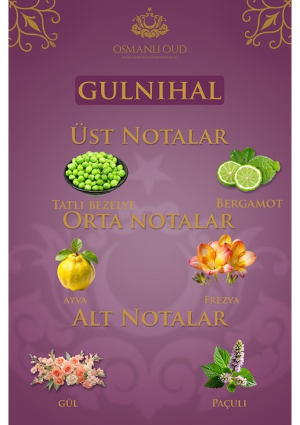 Warriors Gülnihal EDP 65 ML Kadın Parfümü – Çiçeksi – 4421