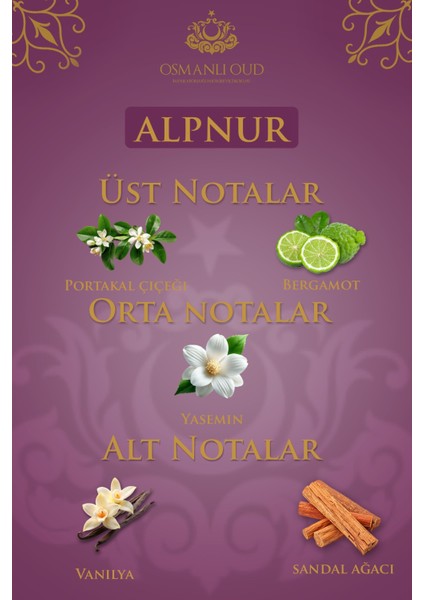 Alpnur Edp 65 ml Kadın Parfüm