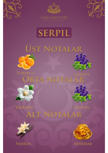 Warriors Serpil EDP 65 ML Kadın Parfümü – Amber – 4446