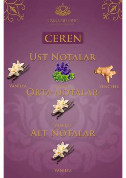 Warriors Ceren EDP 65 ML Kadın Parfümü – Aromatik – 4438