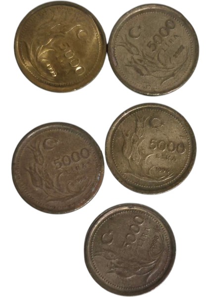 5 Bin Lira 1995-99 Yılları Arası