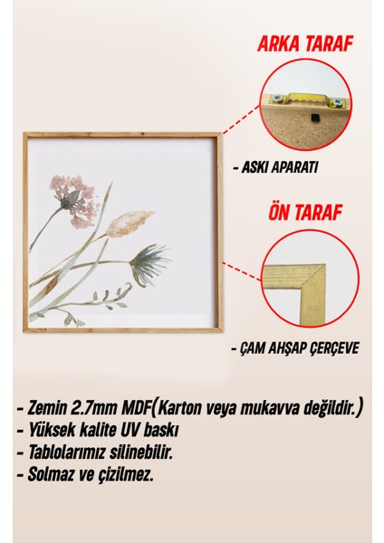 🌸 Doğal Çiçek Desenli 3’lü Tablo Seti | Çam Çerçeve Mdf Uv Baskı Varyantlı KR4042 23 x 23