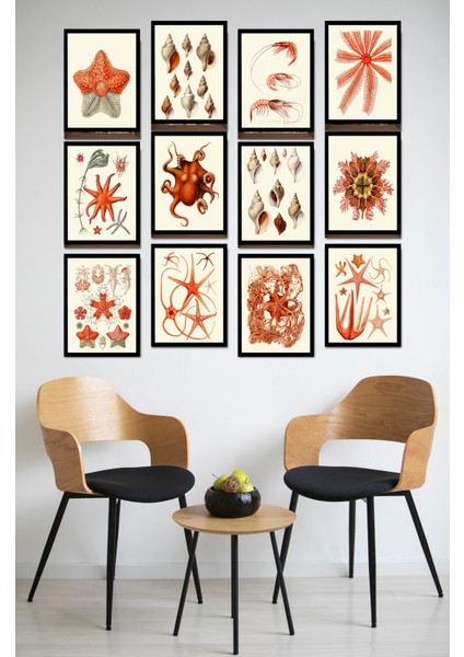 Dekorize Mdf Tablo Seti 12 Parça - Salon Oturma Odası Için Duvar Dekoru Çerçeve Görünümlü Onk 1031 13 x 17