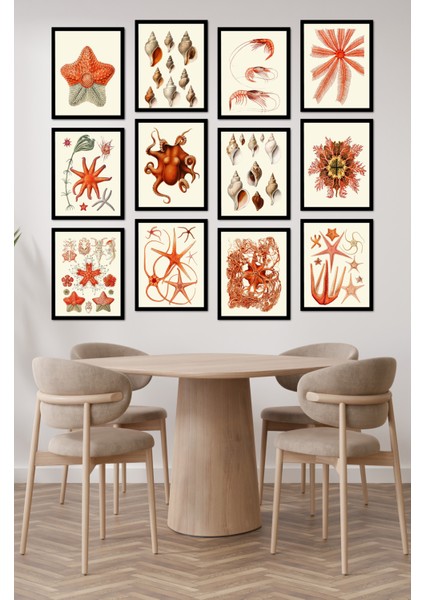 Dekorize Mdf Tablo Seti 12 Parça - Salon Oturma Odası Için Duvar Dekoru Çerçeve Görünümlü Onk 1031 13 x 17 modelleri