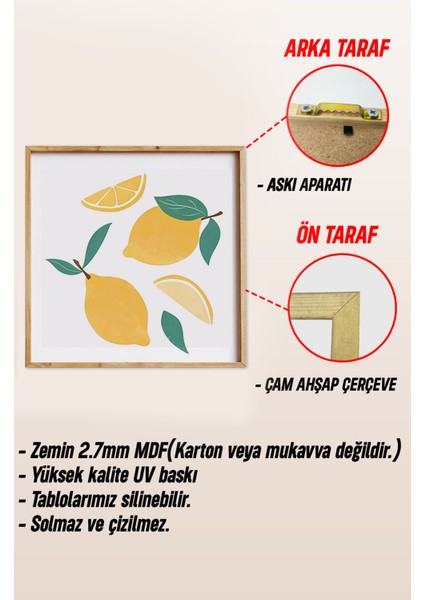 🟠 Meyve Bahçesinden Mutfaklara Neşe – 3'lü Mdf Limon, Nar ve Şeftali Tablo Seti 🍋🍊🍑 KR4061 23 x 23
