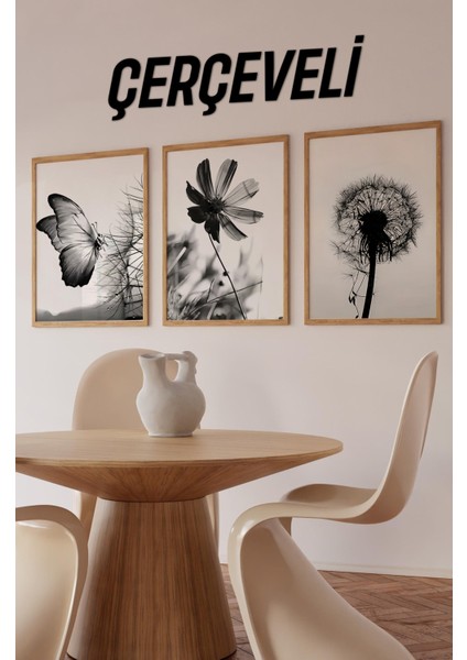 🖼️ Siyah Beyaz Kelebek ve Çiçek Temalı 3'lü Çerçeveli Tablo Seti CRV1060 23 x 32