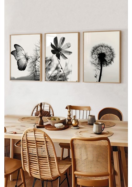 🖼️ Siyah Beyaz Kelebek ve Çiçek Temalı 3'lü Çerçeveli Tablo Seti CRV1060 23 x 32 fiyatları
