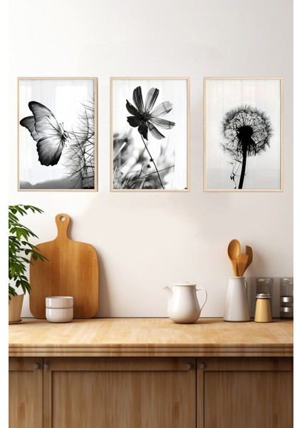 🖼️ Siyah Beyaz Kelebek ve Çiçek Temalı 3'lü Çerçeveli Tablo Seti CRV1060 23 x 32 fırsatları