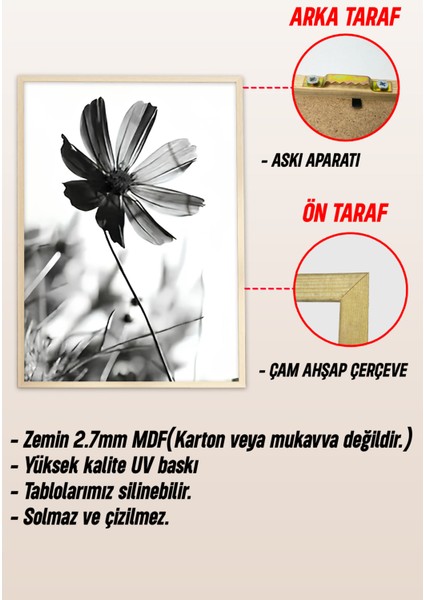 🖼️ Siyah Beyaz Kelebek ve Çiçek Temalı 3'lü Çerçeveli Tablo Seti CRV1060 23 x 32 indirimleri