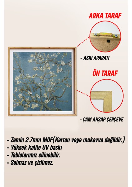 Ahşap Çerçeveli Mdf Kare Tek Tablo (Kendi Tablo Setinizi Oluşturacağınız Liste) TX1013 23 x 23