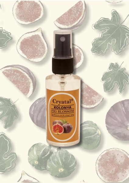 Fig Blossom 50 ml Kolonya fiyatları