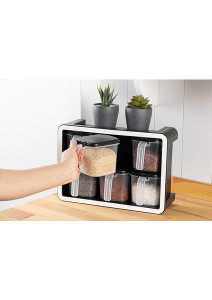 6'lı Standlı Şeffaf Kaşıklı Kapaklı Baharatlık Saklama Kabı Seti Duvara Monte ve Kendinden Standlı
