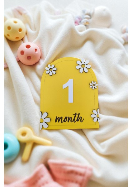 Bebek Fotoğraf Çekim Ahşap Anı Kartı 12 Ay Rakamlı Doğum Konsept Hediyelik modelleri