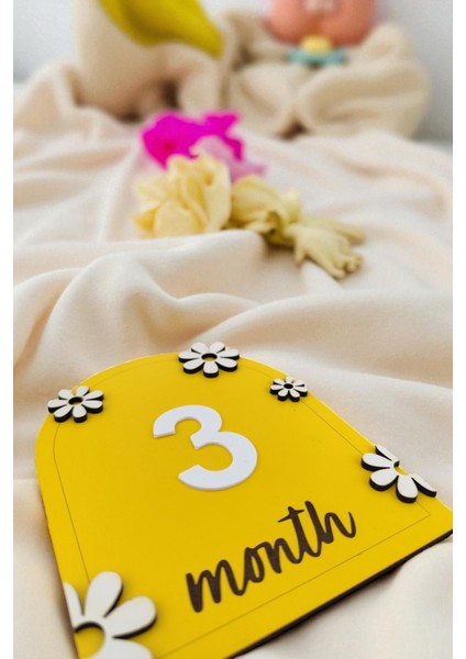 Bebek Fotoğraf Çekim Ahşap Anı Kartı 12 Ay Rakamlı Doğum Konsept Hediyelik indirimleri