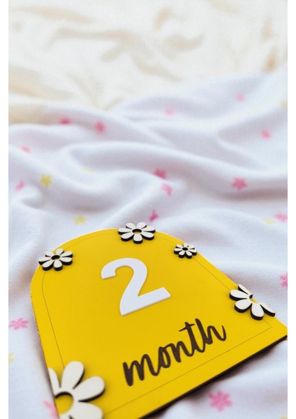 Bebek Fotoğraf Çekim Ahşap Anı Kartı 12 Ay Rakamlı Doğum Konsept Hediyelik